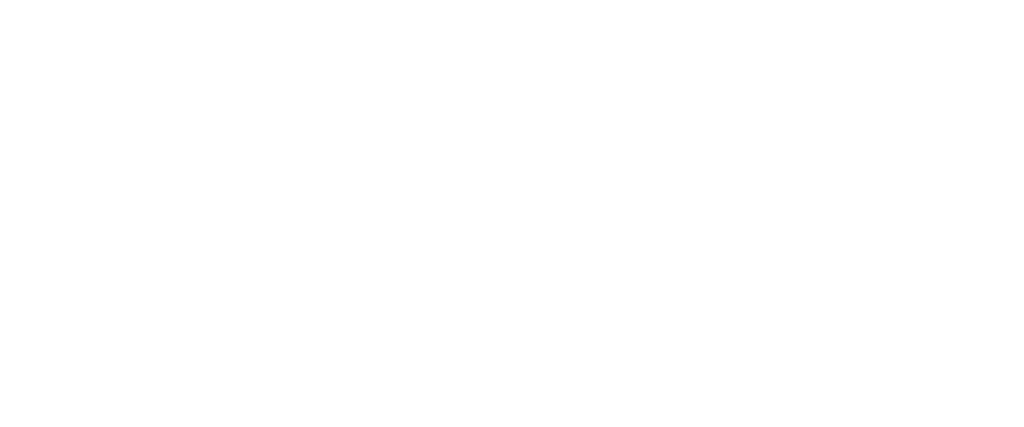 cake silvestre, novidade da linha vivace com morango e amora